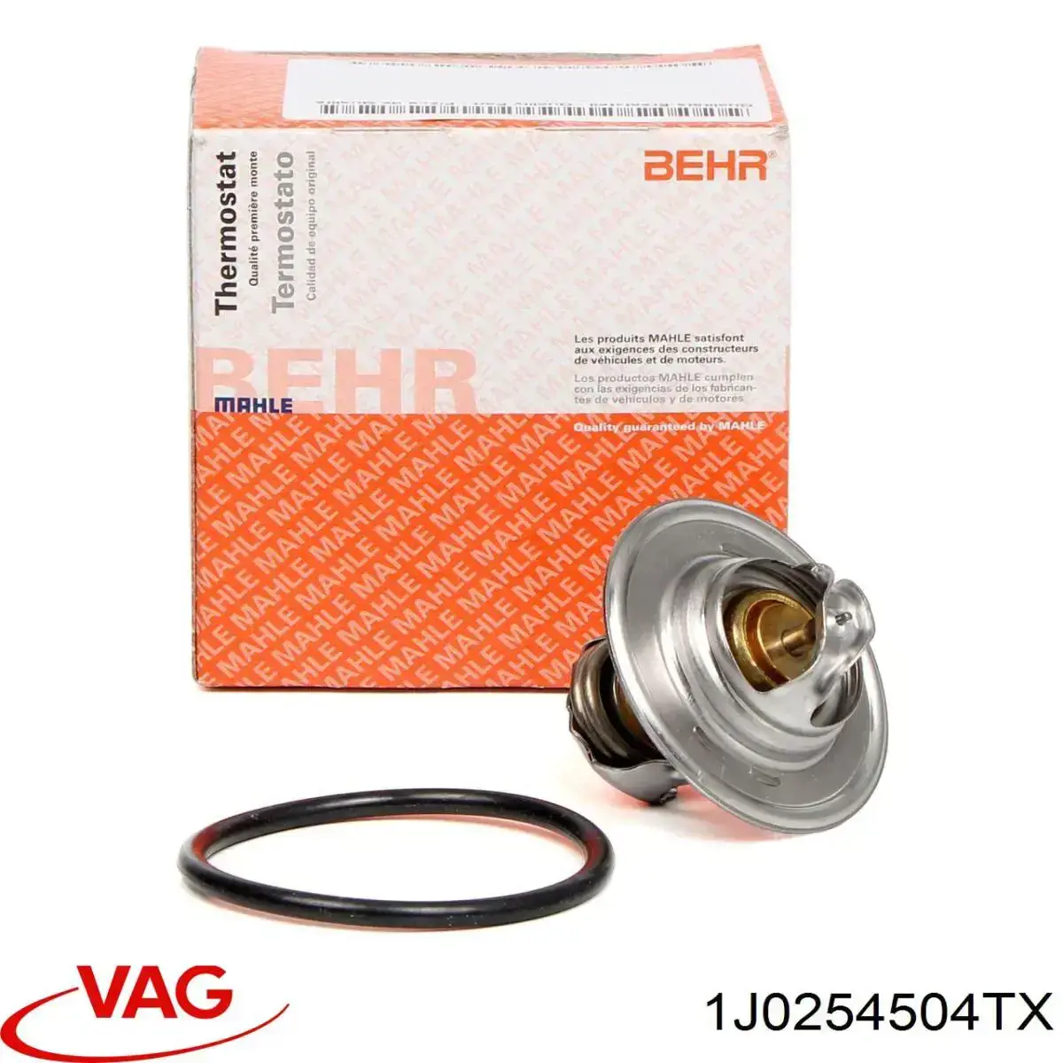 1J0253058SV VAG catalizador