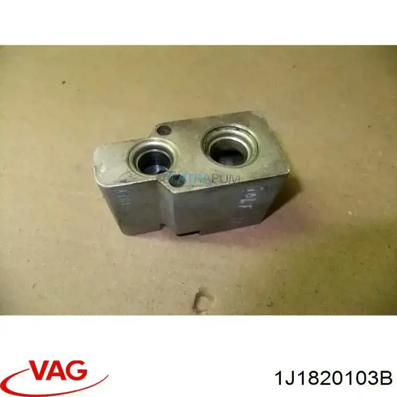 1J1820103B VAG