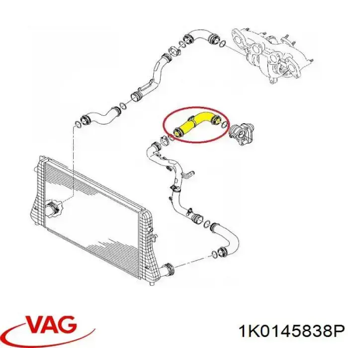 Manguera del intercooler VAG 1K0145838P precio, desde 45,01 EUR