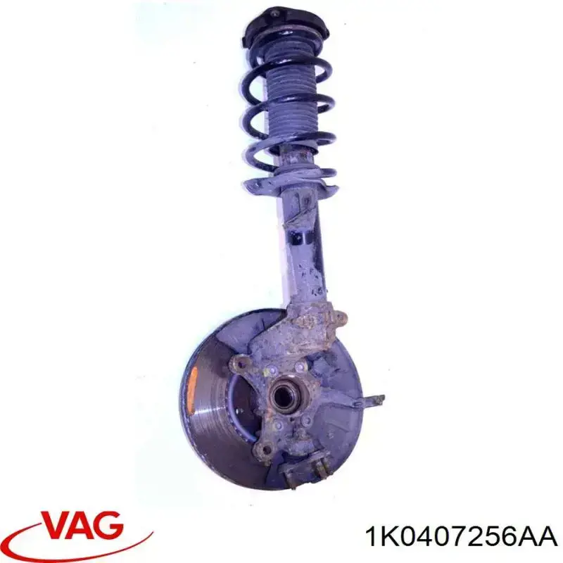 Muñón del eje, soporte de rueda, delantero derecho VAG 1K0407256AA