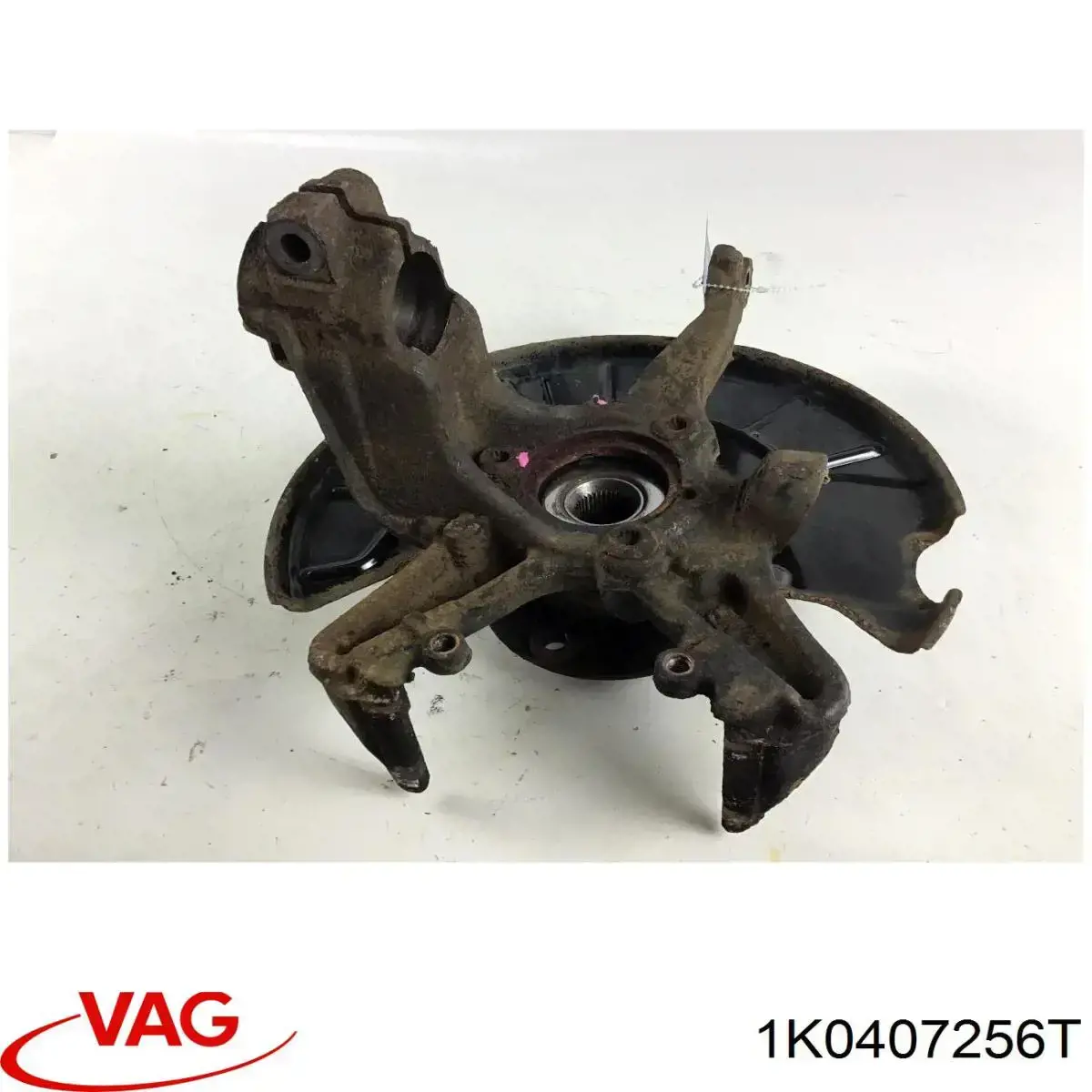 Muñón del eje, soporte de rueda, delantero derecho VAG 1K0407256T