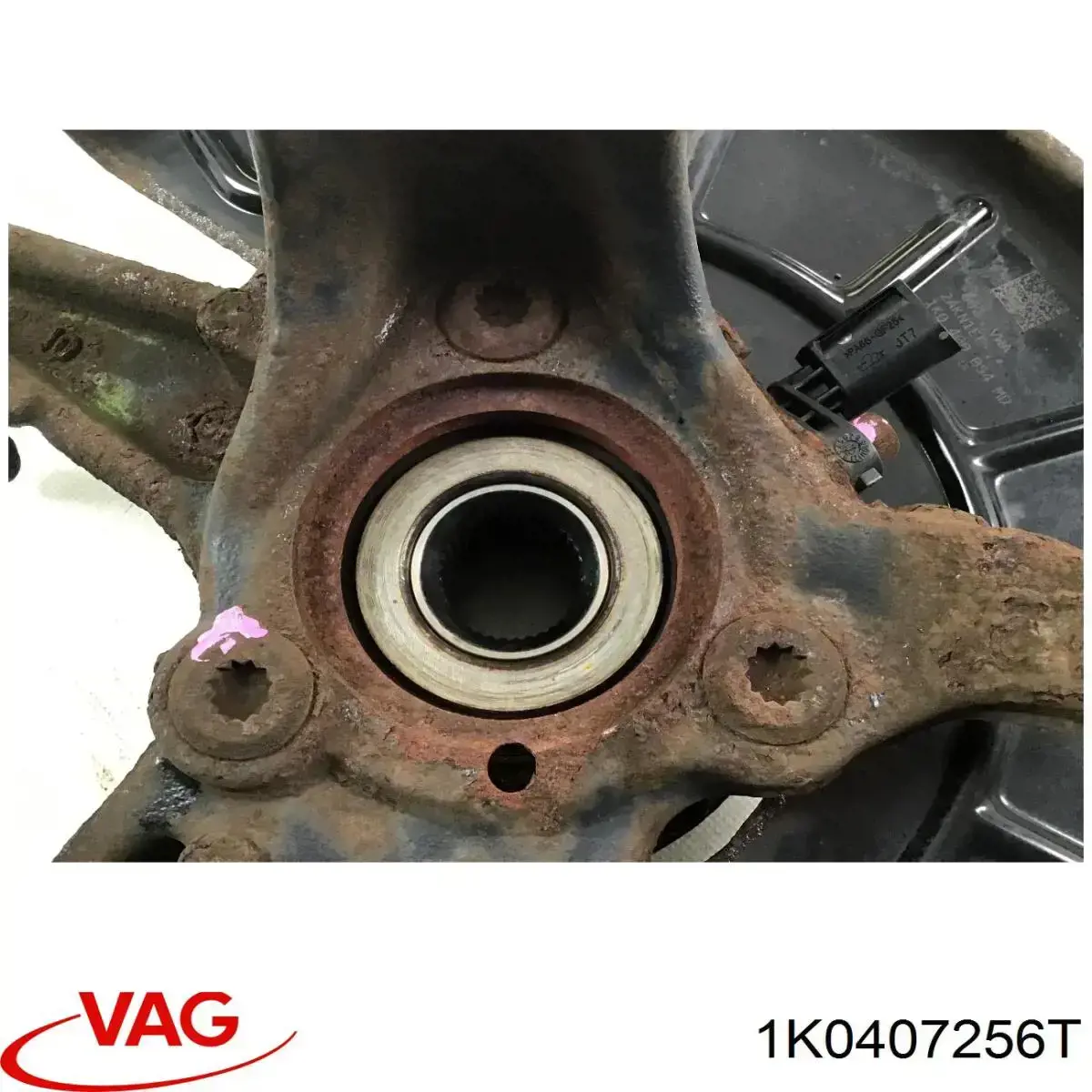 Mangueta delantera derecha VAG 1K0407256T precio, desde 58,08 EUR