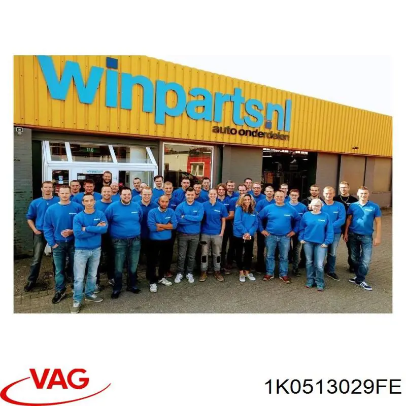 Amortiguador trasero VAG 1K0513029JC precio, desde 52,97 EUR