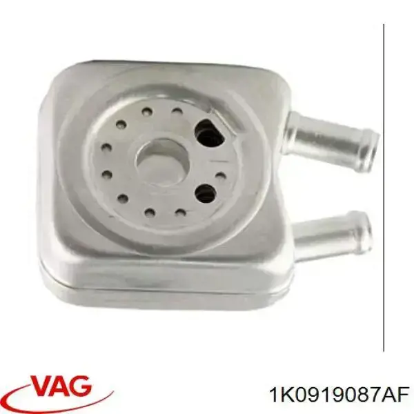 Módulo alimentación de combustible  VAG 1K0919087AF precio, desde 53,42 EUR