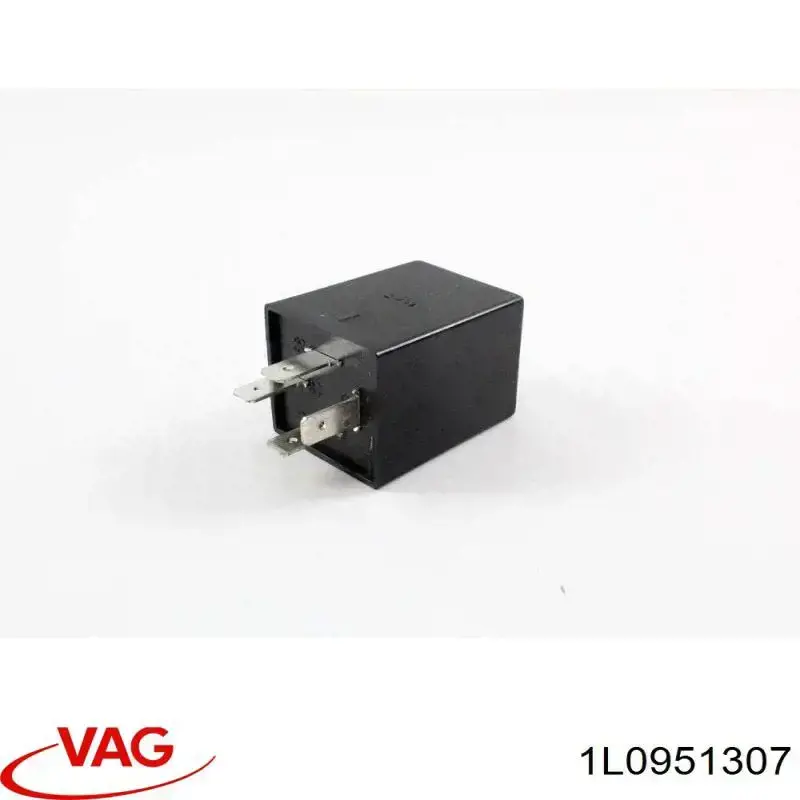 1L0951307 VAG