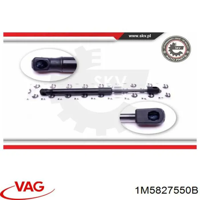 Amortiguador de maletero VAG 1M5827550B precio, desde 13,86 EUR