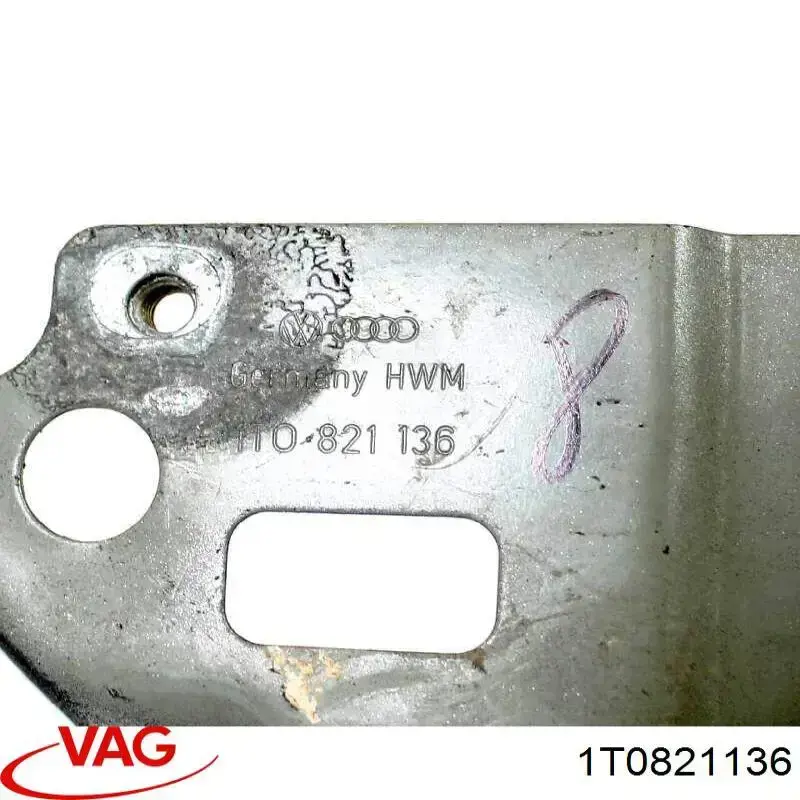 Soporte delantero de guardabarros delantero derecho VAG 1T0821136 precio, desde 46,76 EUR