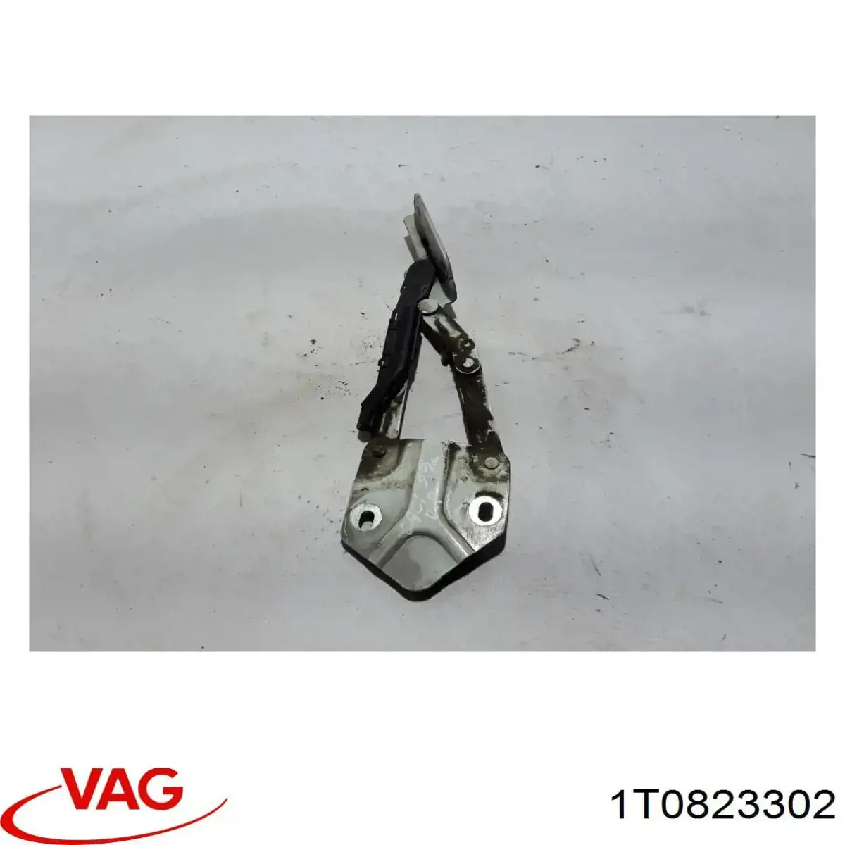 Bisagra derecha del capó VAG 1T0823302 precio, desde 45,01 EUR