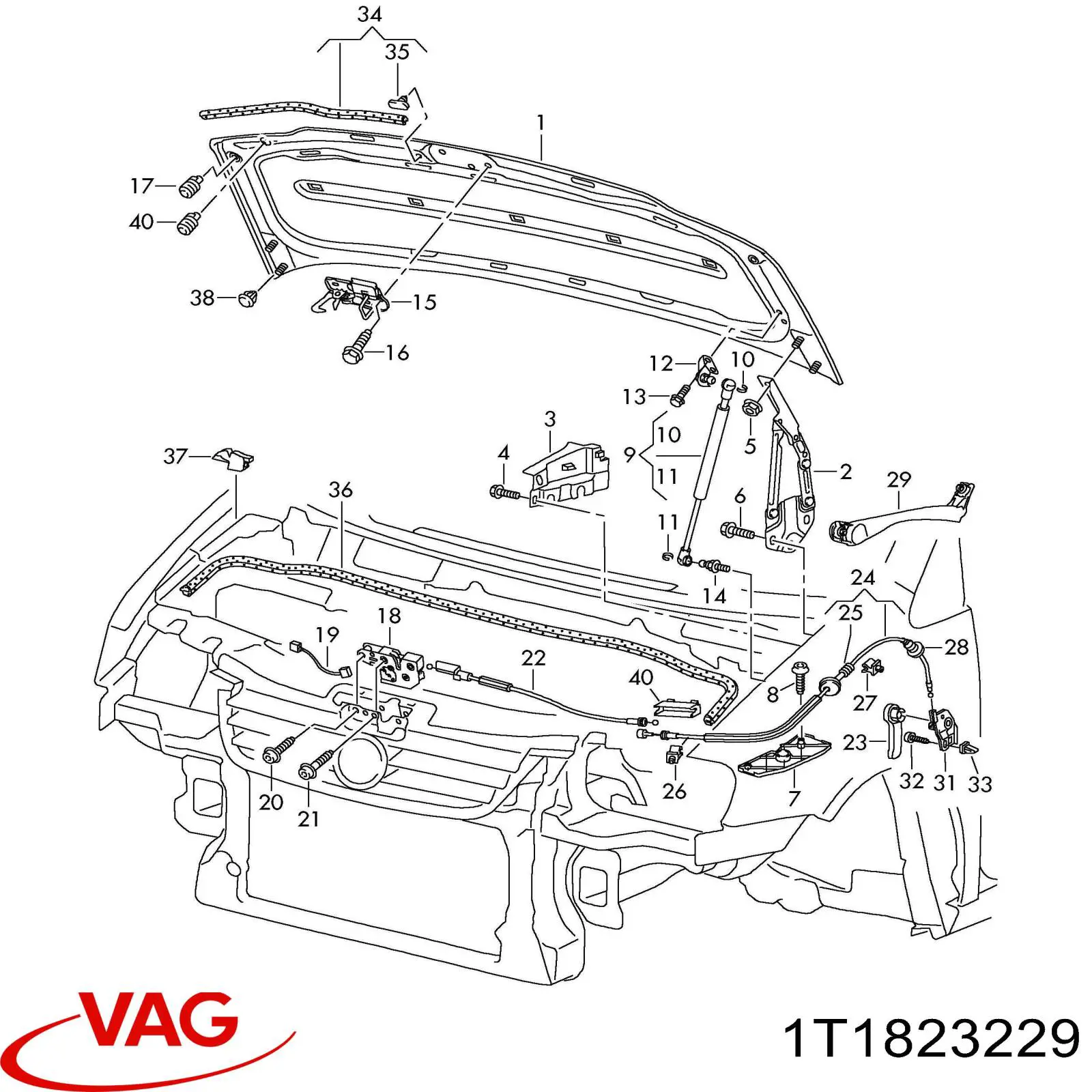 1T1823229 VAG