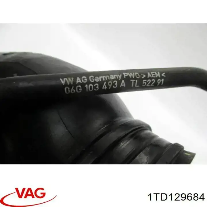 1TD129684 VAG