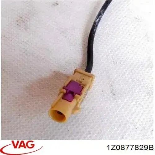 1Z0877829B VAG 