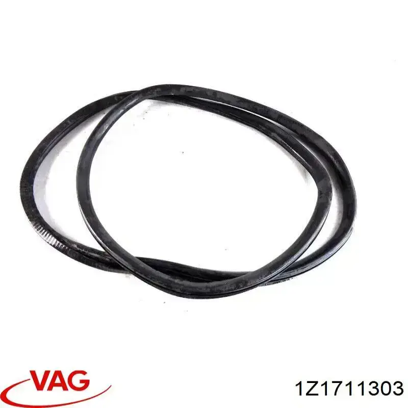 Comprar 1Z1711303 VAG 