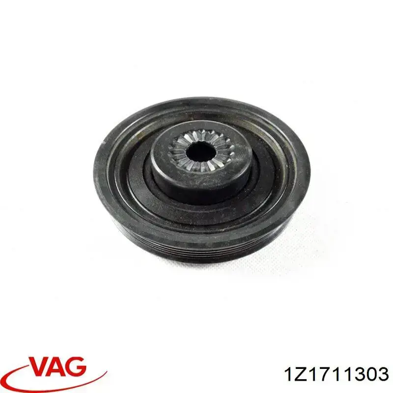 1Z1711303 VAG 