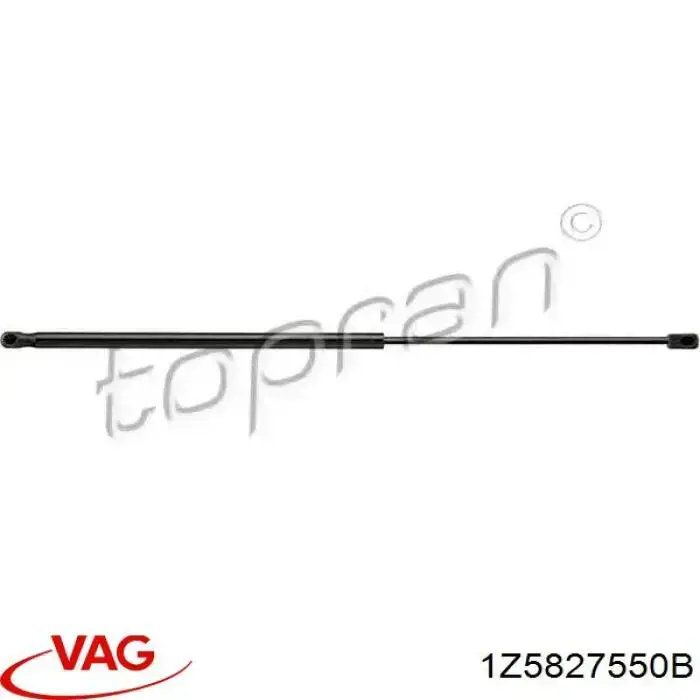 Muelle neumatico maletero VAG 1Z5827550B
