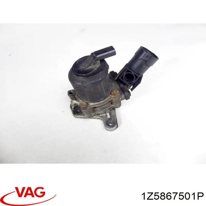 Guarnecido de techo VAG 1Z5867501P precio, desde  EUR
