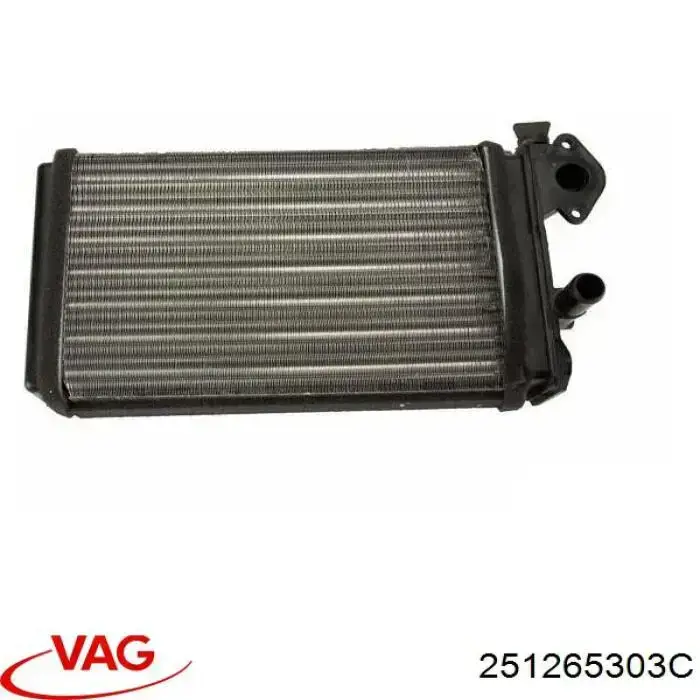 251265303C VAG