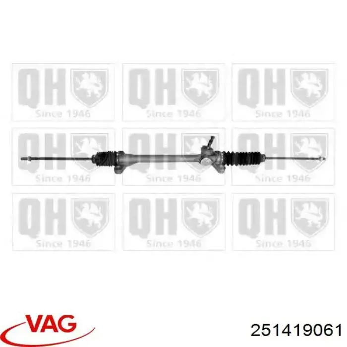 Cremallera de dirección 251419061 VAG