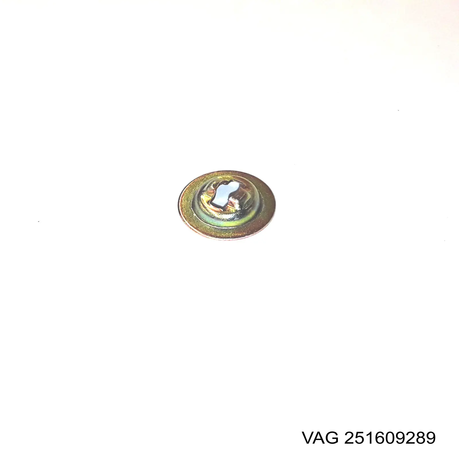  VAG 251609289 precio, desde 2,71 EUR