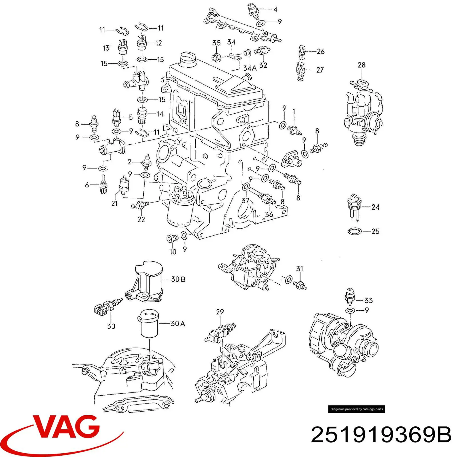 Comprar 251919369B VAG Sensor de temperatura de agua