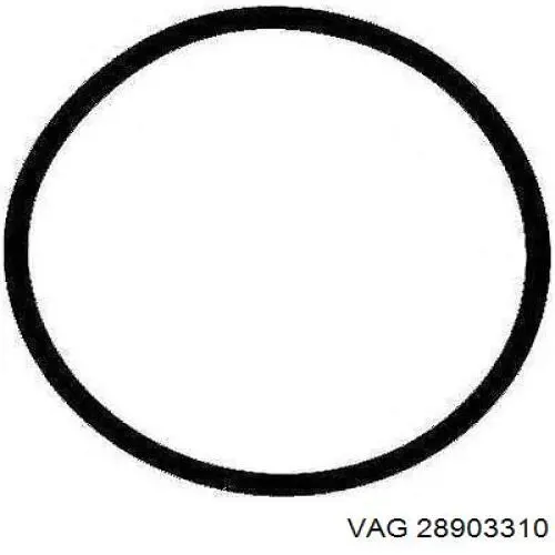Comprar 28903310 VAG Anillo de estanqueidad del soporte del tensor de la correa de transmisión