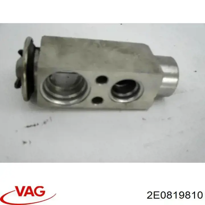 2E0819810 VAG