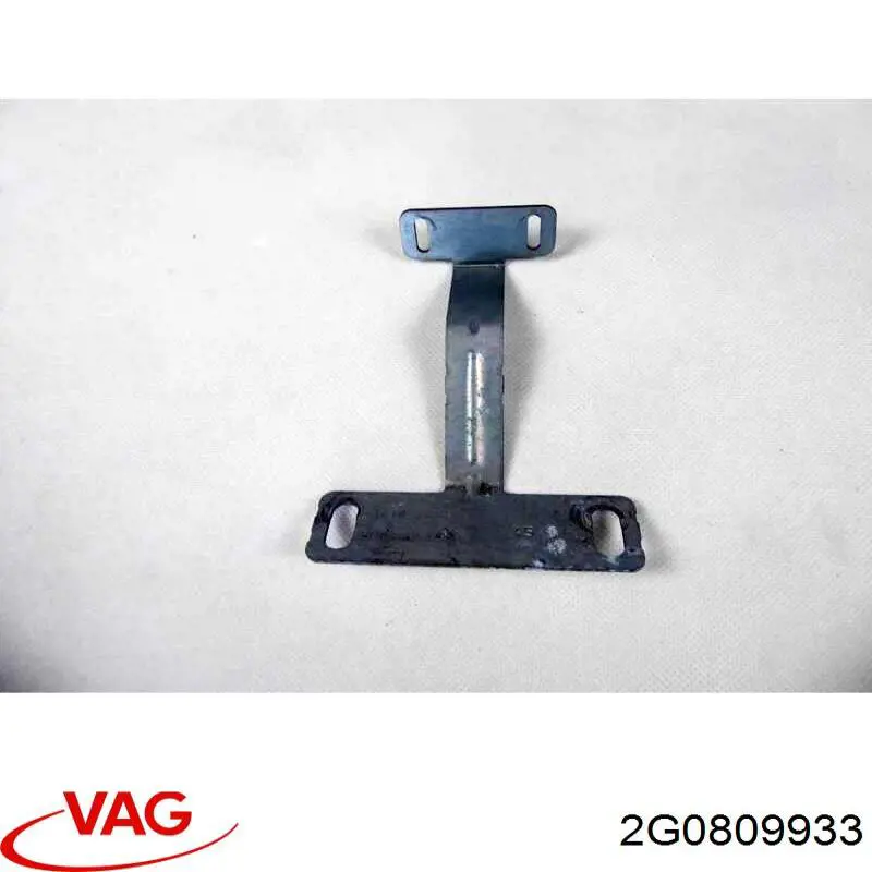  2G0809933 VAG