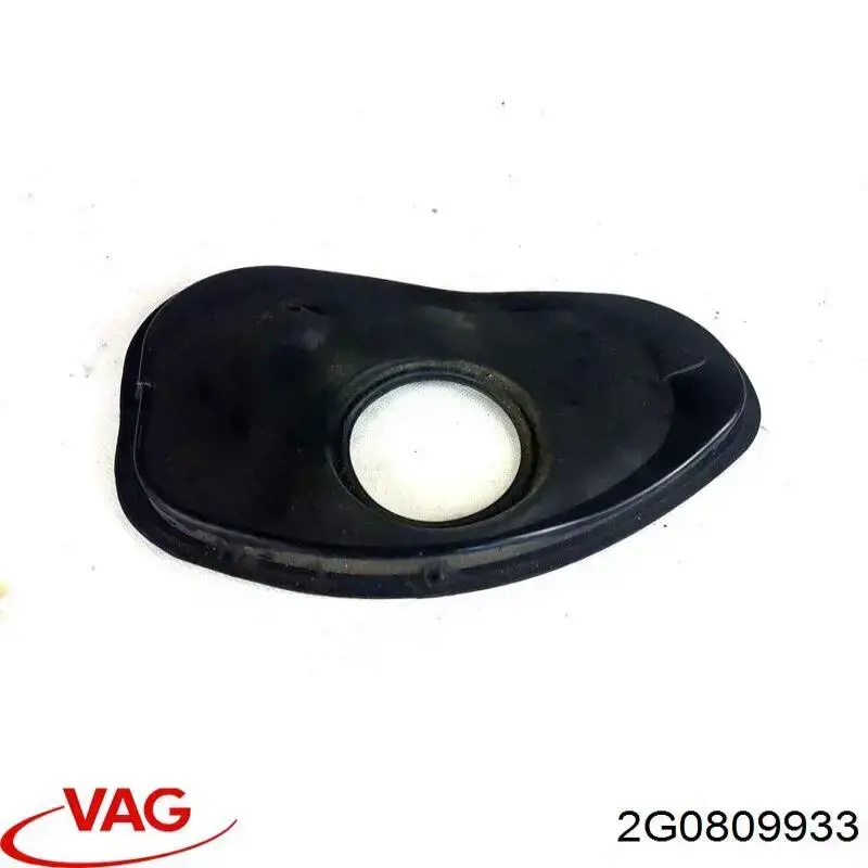 2G0809933 VAG 