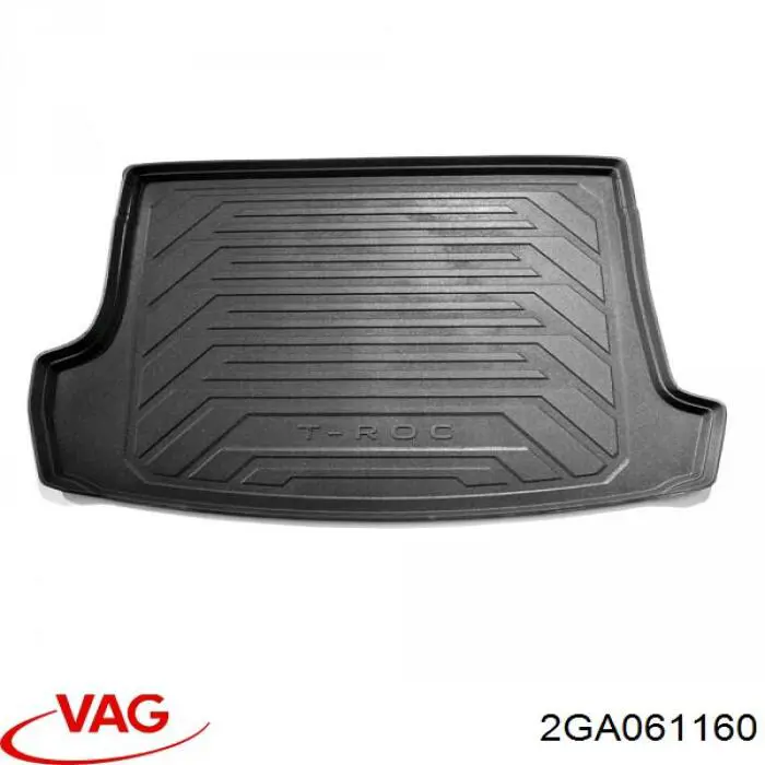 2GA061160 VAG 