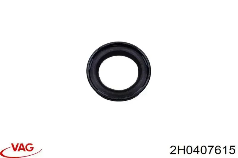Comprar 2H0407615 VAG Bujes de ruedas