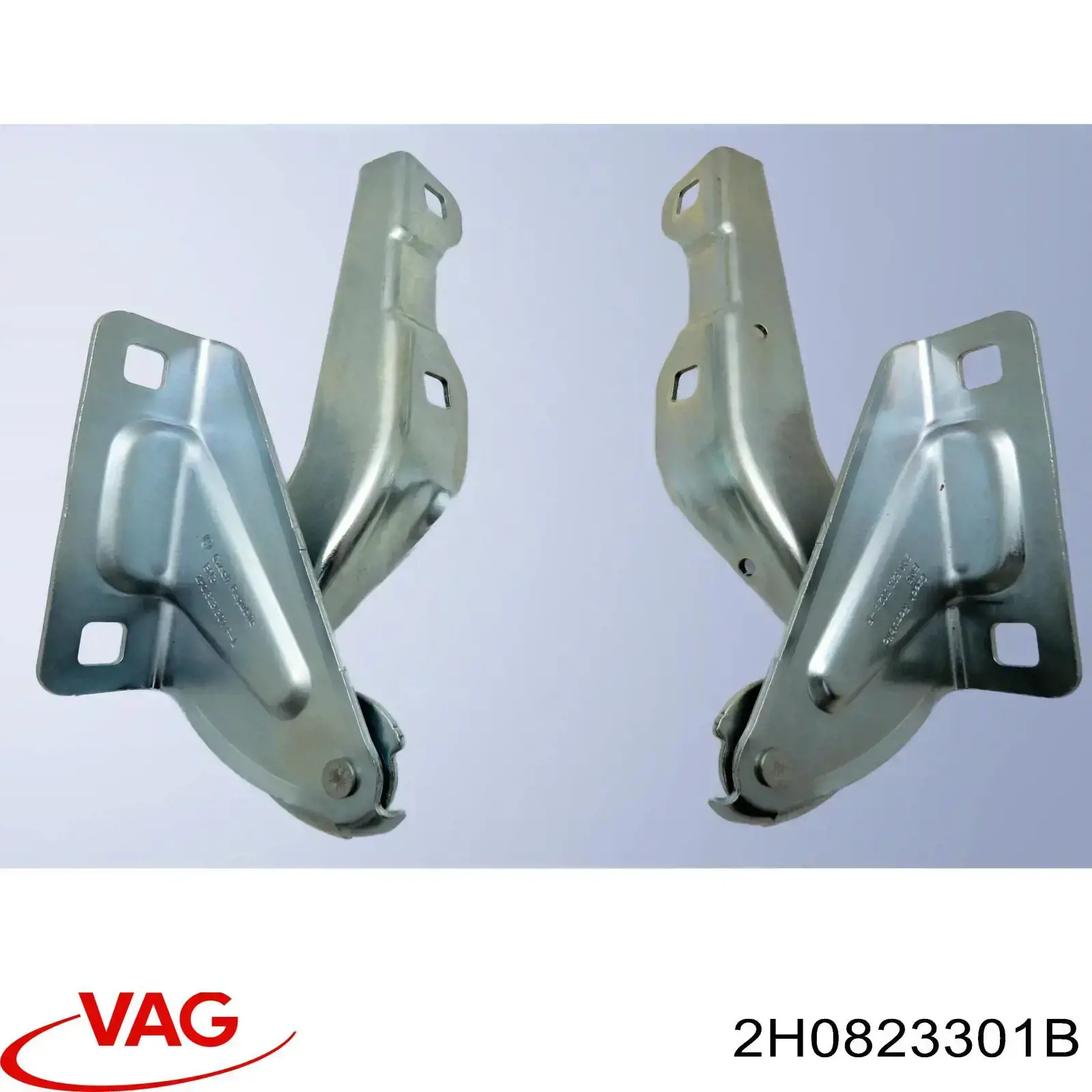 2H0823301B VAG Bisagra de capot izquierda