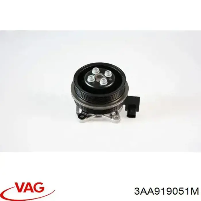 Módulo alimentación de combustible  VAG 3C0919051R precio, desde 207,90 EUR