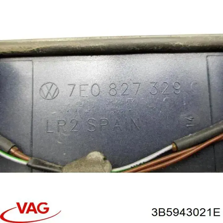Luz matricula 3B5943021E VAG