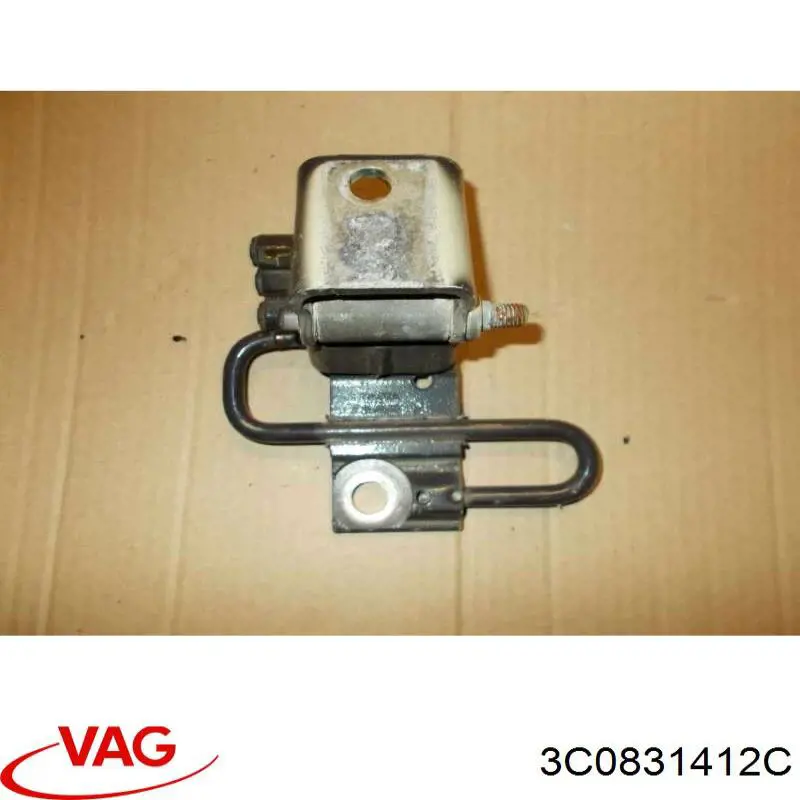 Bisagra de la puerta delantera derecha VAG 3C0831412C precio, desde 47,92 EUR
