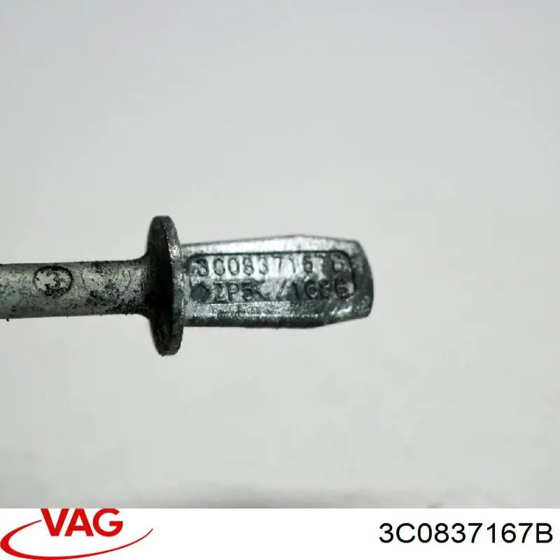 Cilindro de cerradura de puerta delantera izquierda 3C0837167B VAG