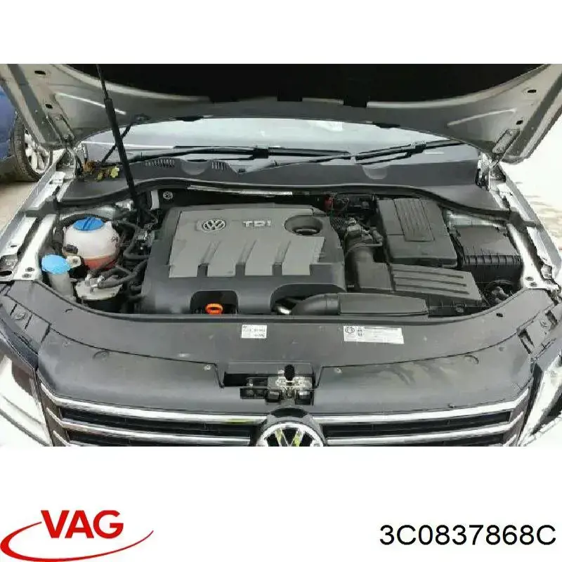 3C0837868C VAG