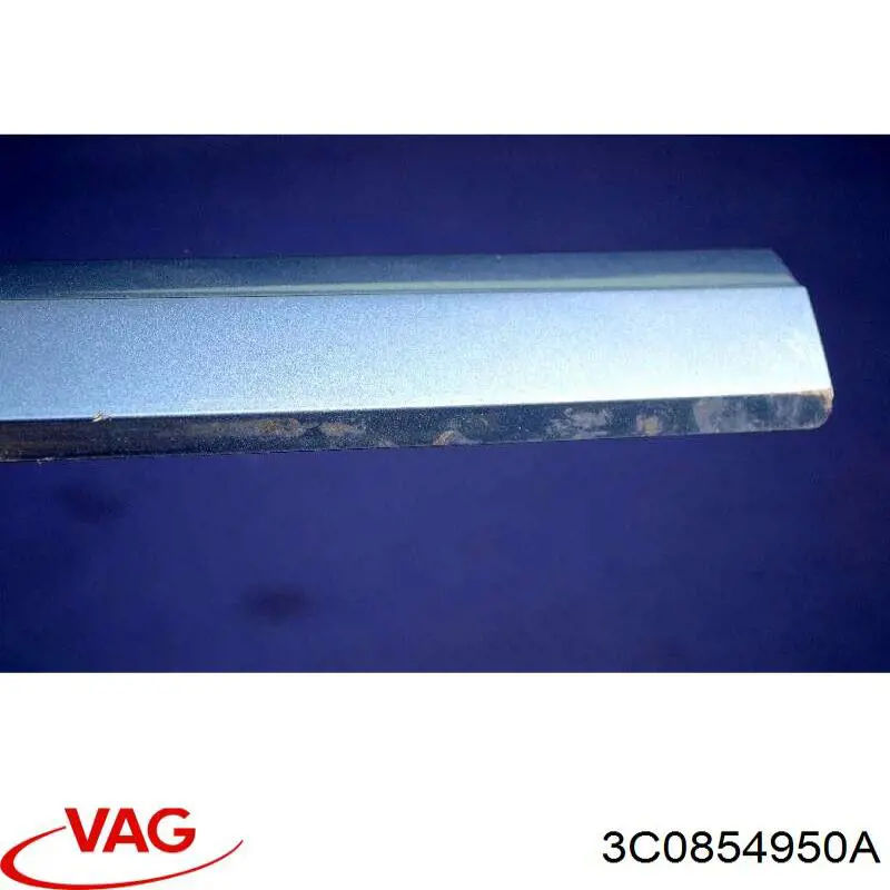 Embellecedor de puerta trasera derecha VAG 3C0854950A precio, desde 15,93 EUR
