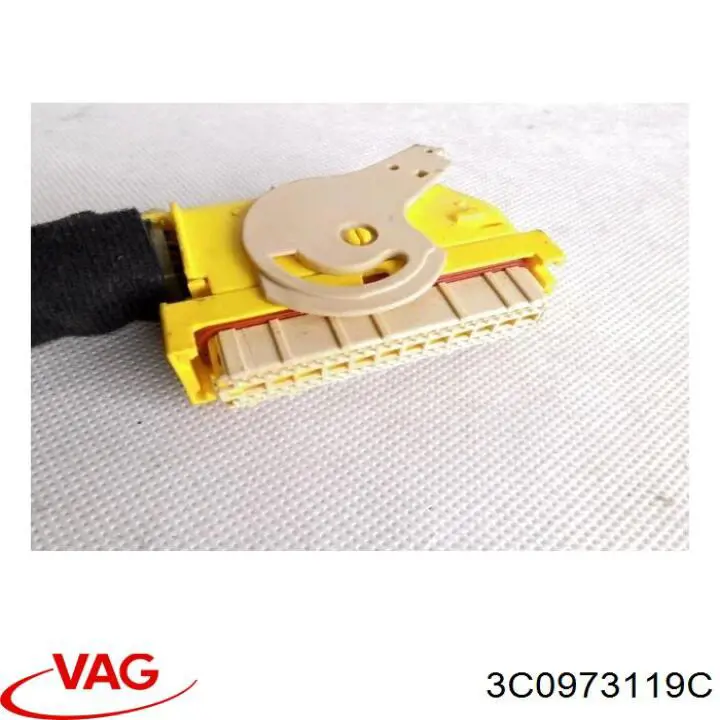3C0973119C VAG 