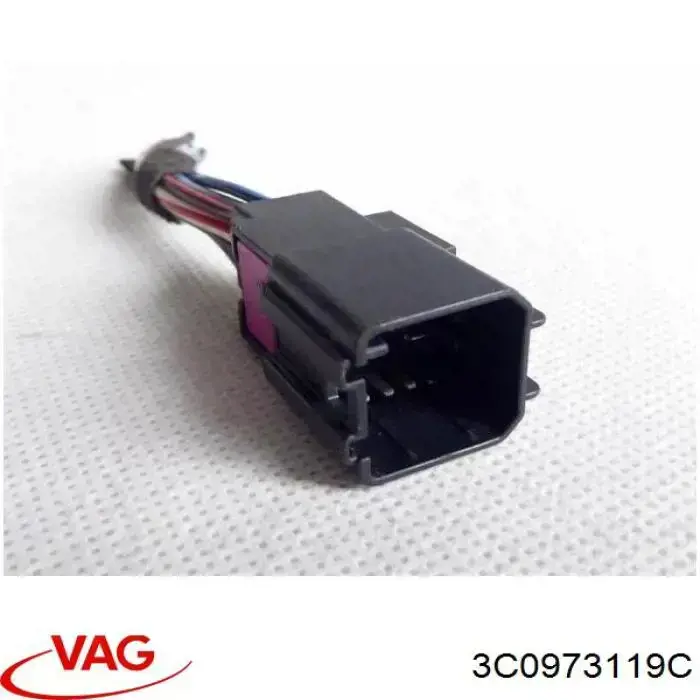 3C0973119C VAG