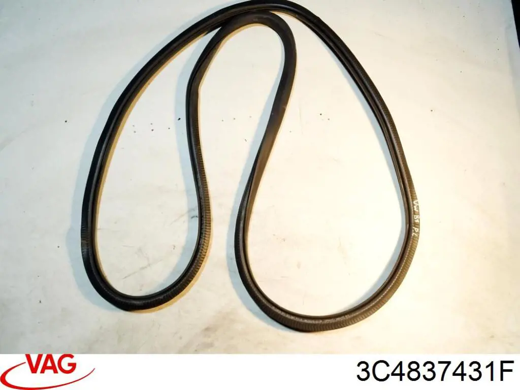  VAG 3C4837431F precio, desde  EUR