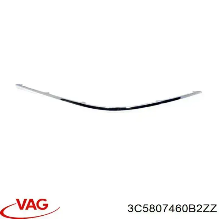 Moldura de parachoques trasero derecho VAG 3C5807460B2ZZ precio, desde 23,84 EUR