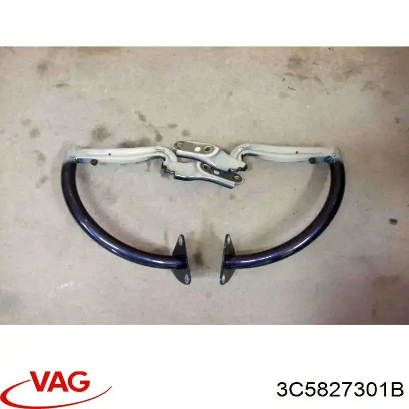 Bisagra de la tapa del maletero VAG 3C5827301B precio, desde 37,75 EUR