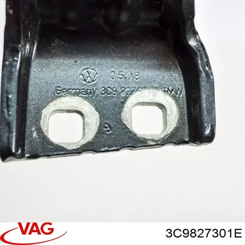 Conjunto de bisagra, puerta del maletero Volkswagen Passat (B6, 3C5)