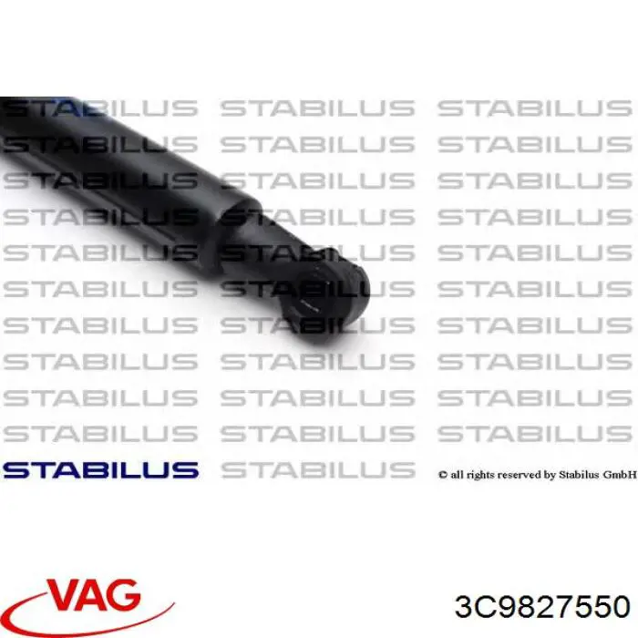 Muelle neumatico maletero VAG 3C9827550