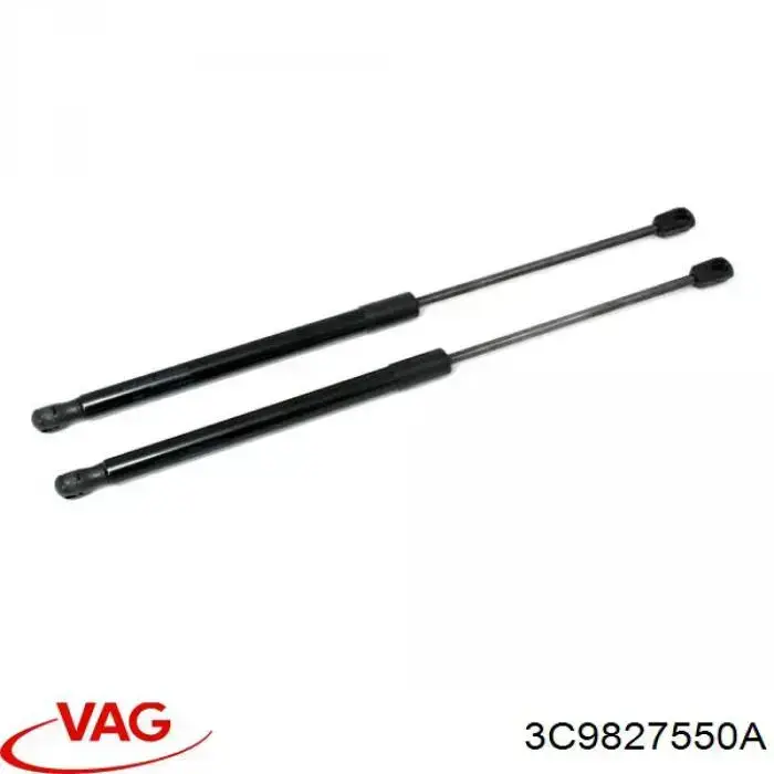 Amortiguador maletero 3C9827550A VAG