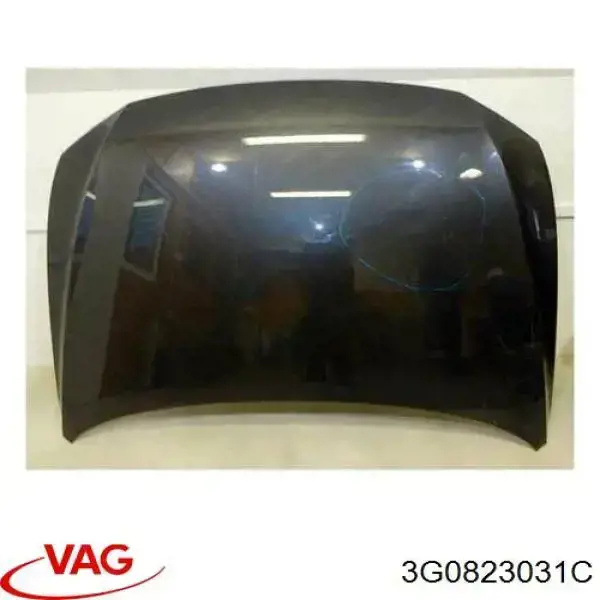 Capot Prasco VG0563100