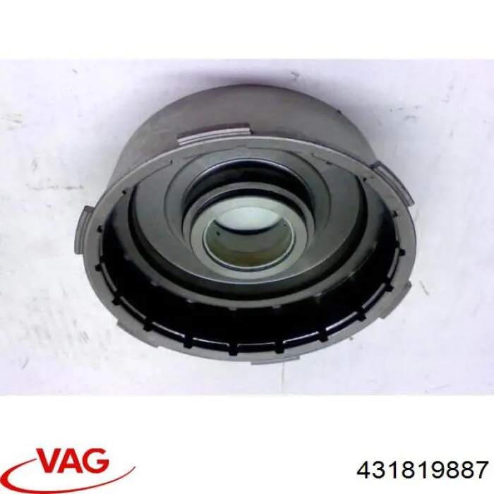 431819887 VAG 