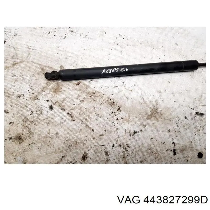  VAG 443827299D