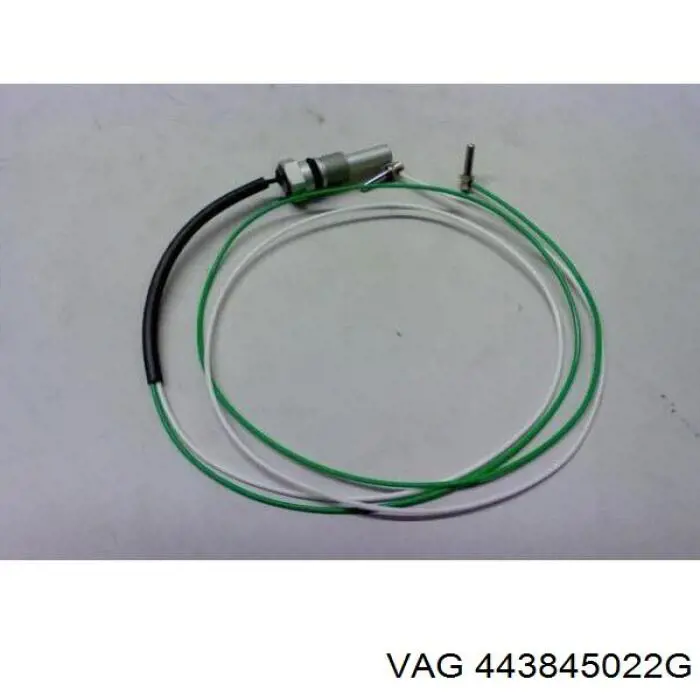 Comprar 443845022G VAG Cristal de puerta delantera derecha