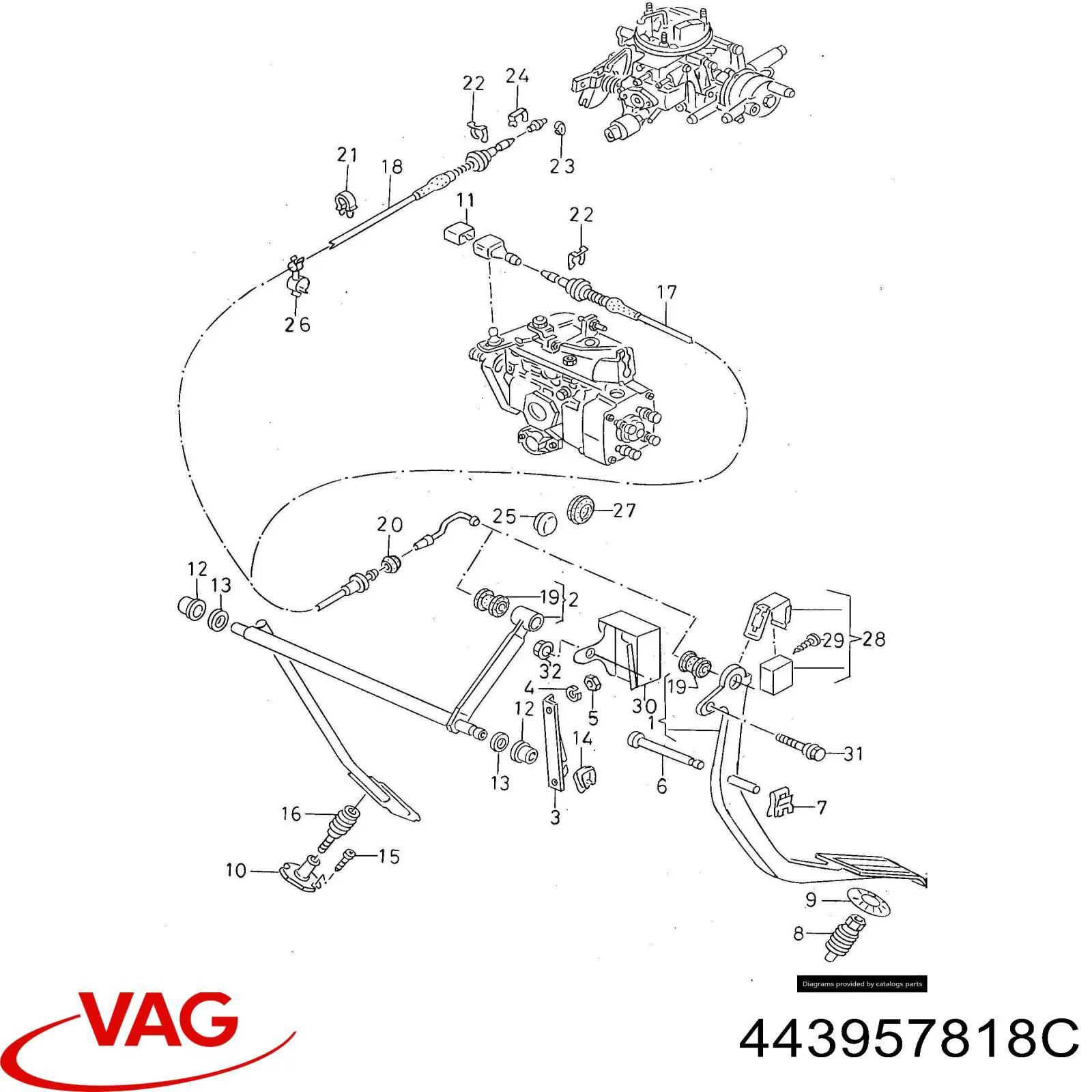  443957818C VAG
