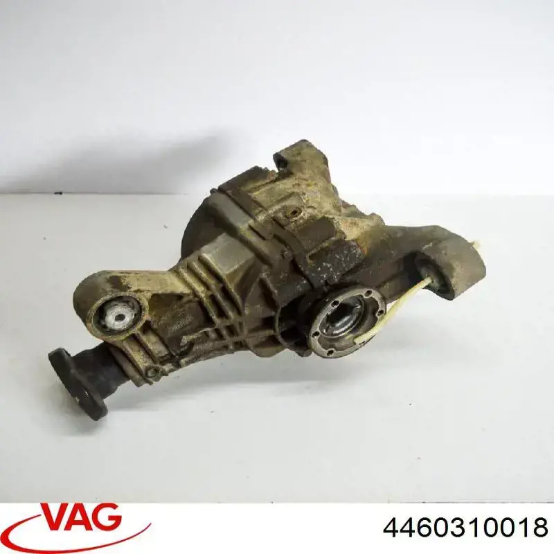Grupo trasero VAG 4460310018